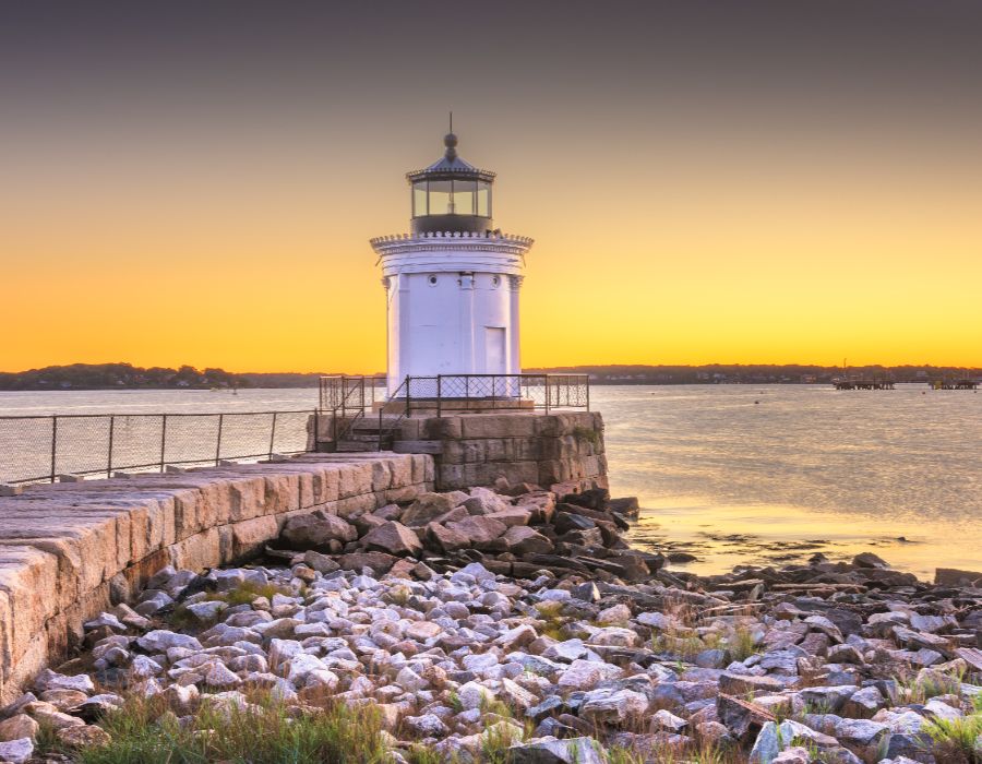 new england health organization 006
