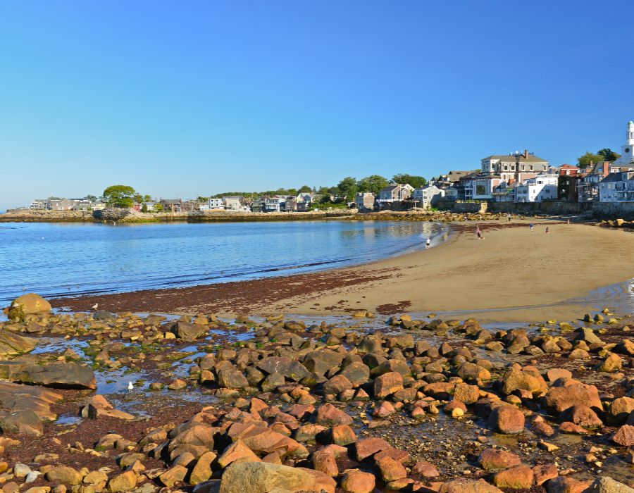 new england health organization 011